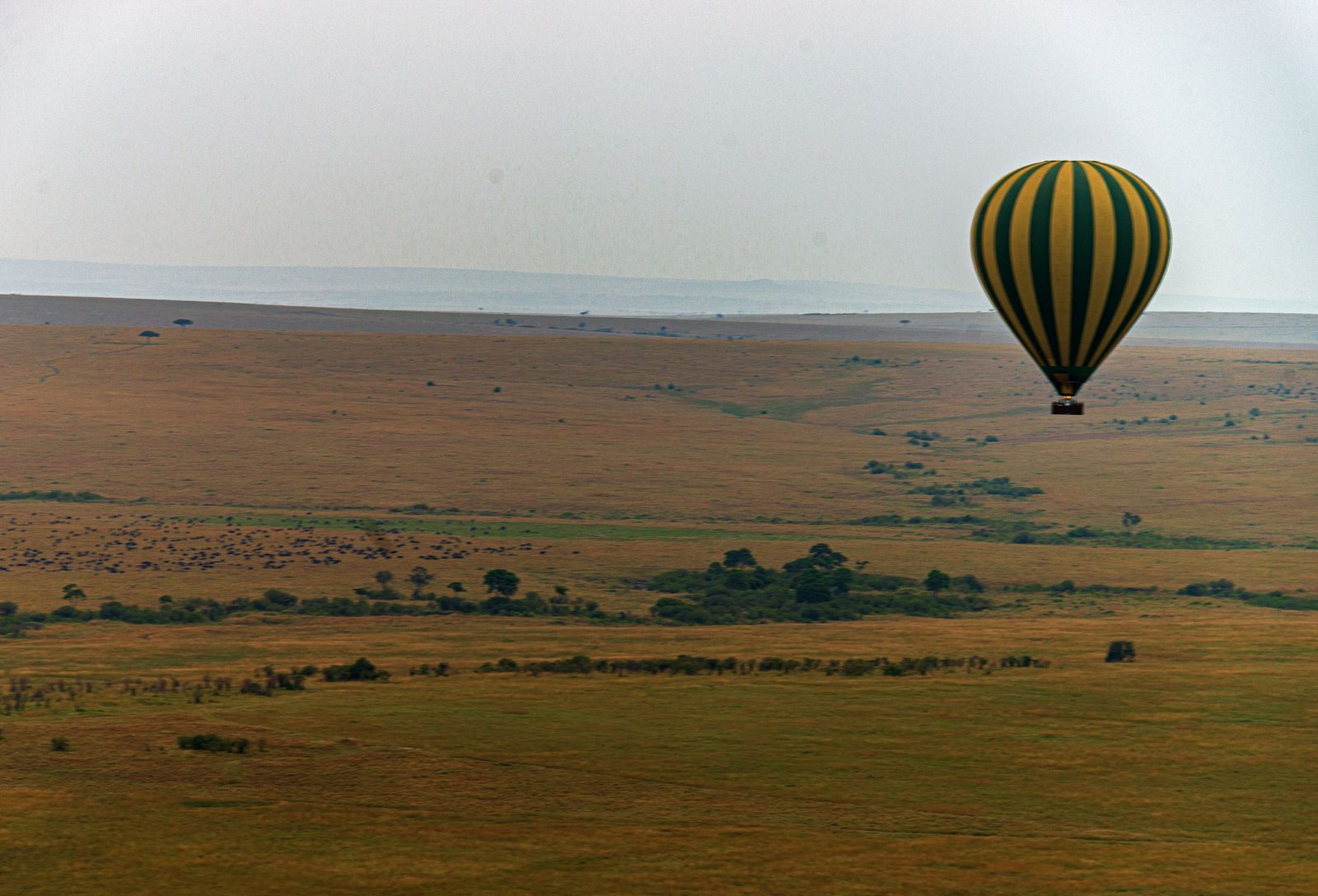 A hot-air balloon drifting over the plains of the Maasai Mara at dawn