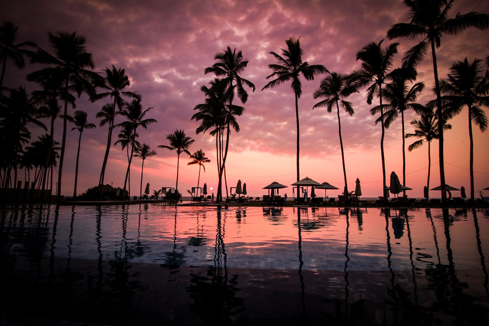 Palm trees reflected in a resort infinity pool under a pink sunset sky