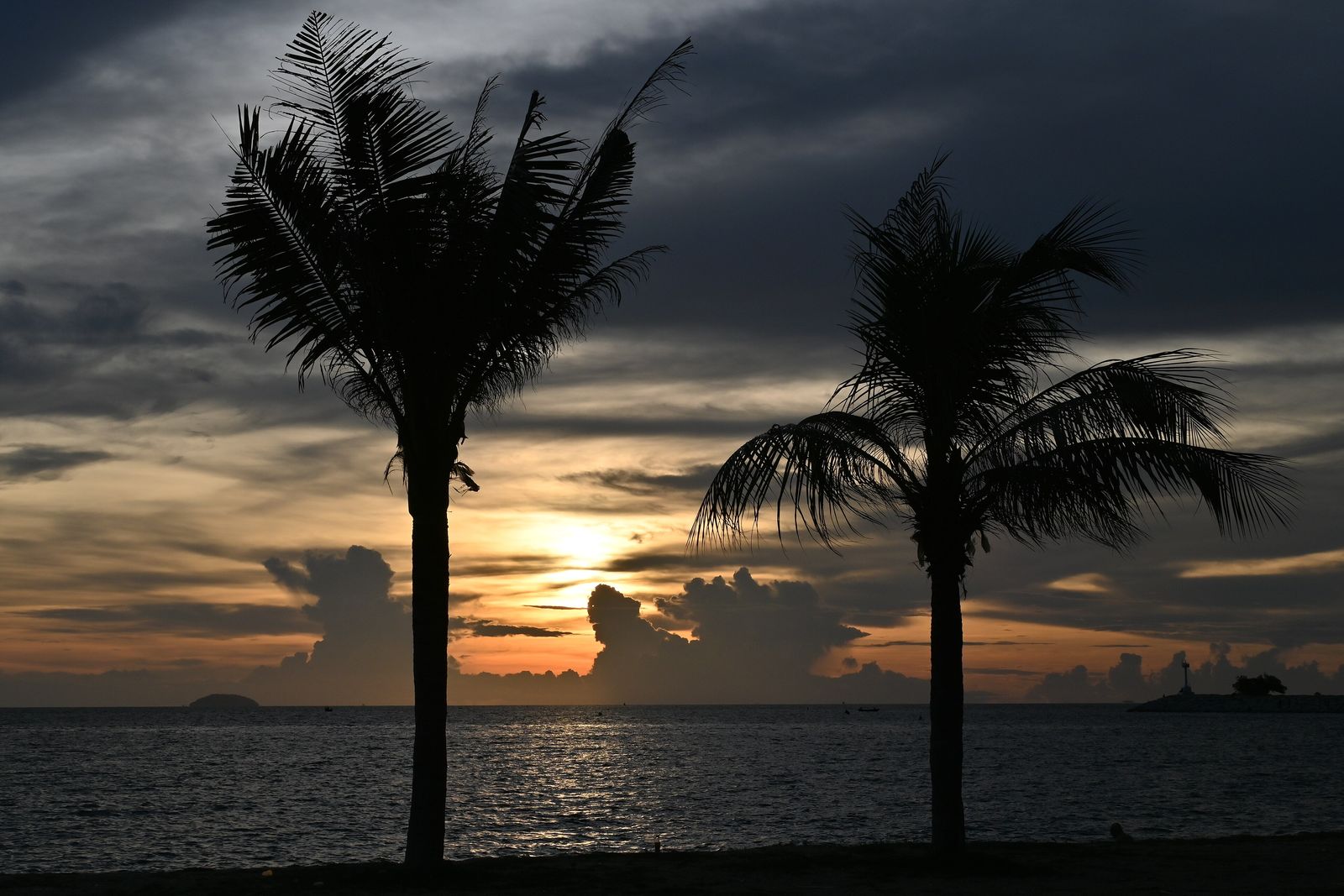 Two palm trees silhouetted against a golden sunset over a calm ocean
